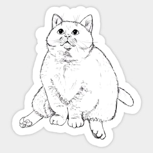 Chonky Cheeks Cat Sticker